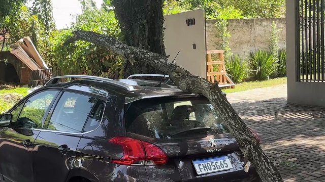 Galho de árvore cai sobre Peugeot 2008 e destrói teto solar no bairro Coqueiral