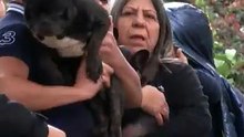 Atölyedeki yangında 4 köpeği itfaiye erleri kurtardı
