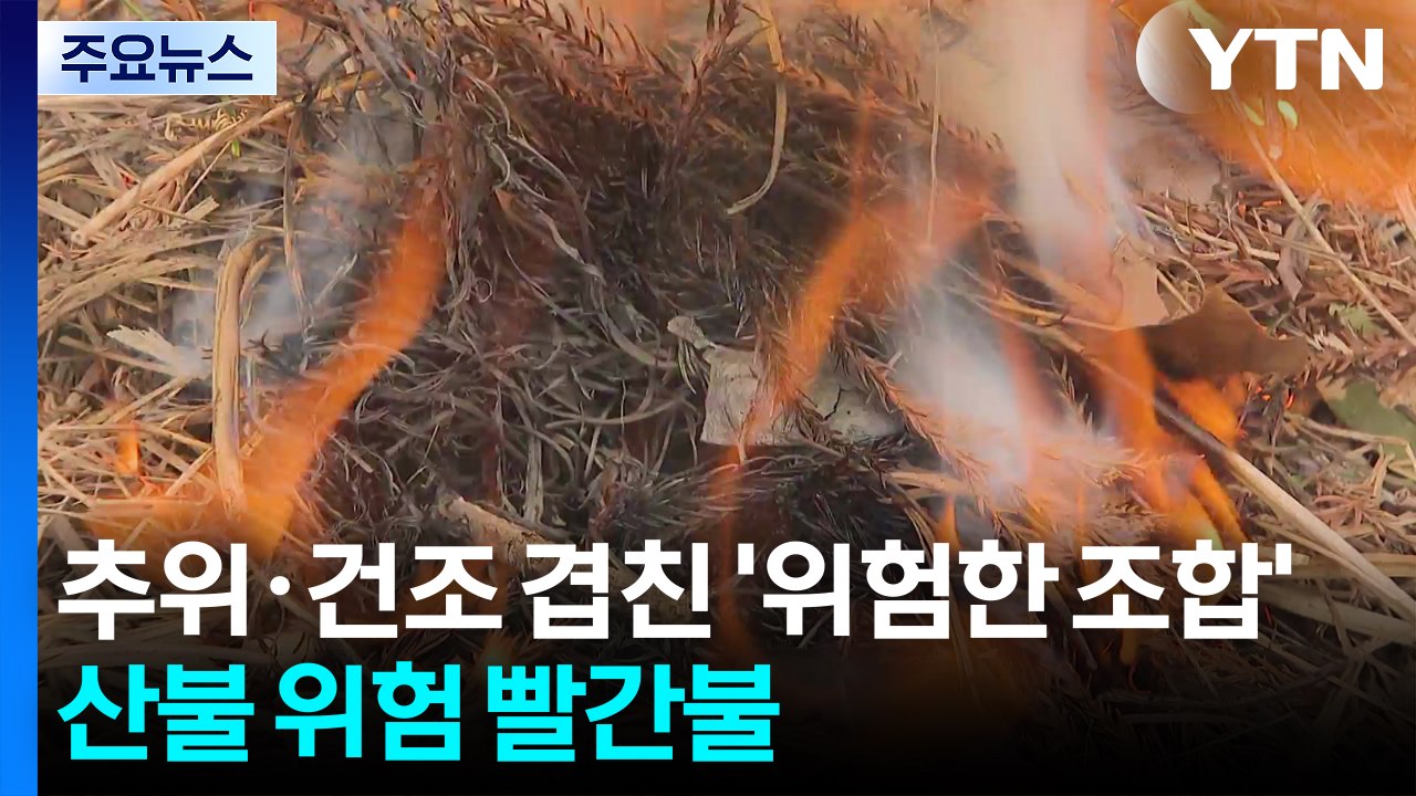 추위·건조 겹친 ’위험한 조합’...산불 위험 빨간불 / YTN