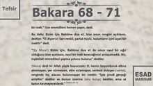 Esad Mansur - Bakara Suresi Tefsiri 68-71