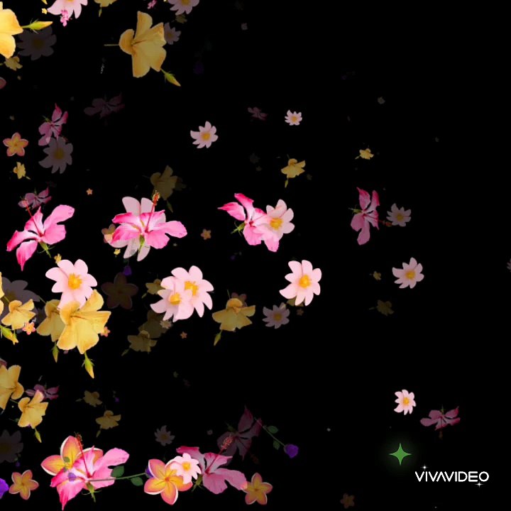 Flying roses