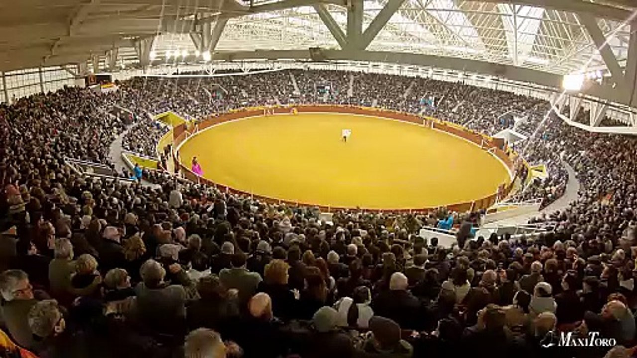 spot illescas
