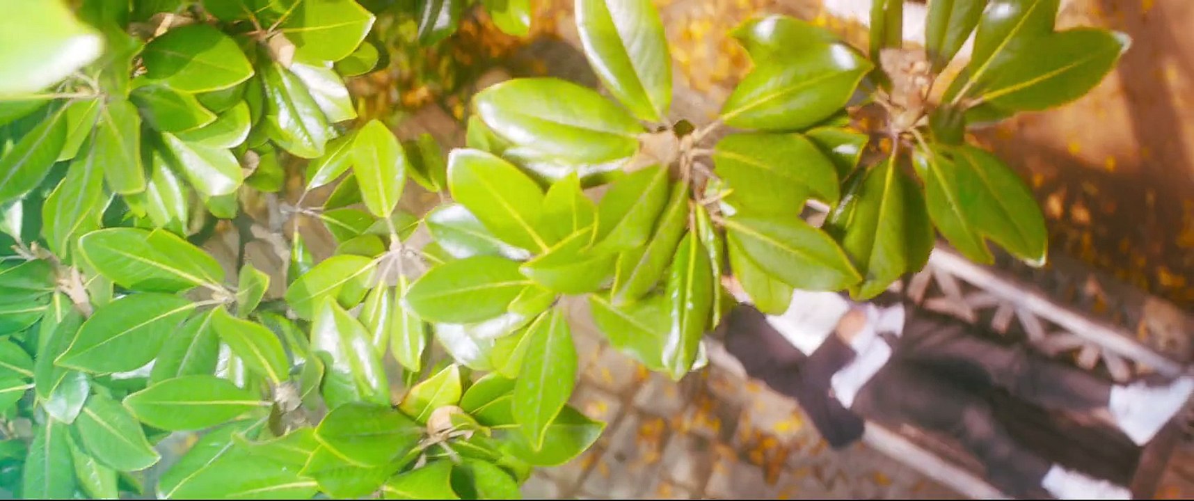 [ENGSUB] Once Again 2024