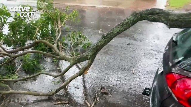 Galho de árvore cai e atinge carro no bairro Coqueiral