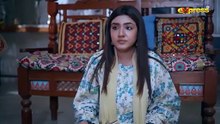 Dorr Episode 65  Haroon Shahid Areej Mohyudin  Express TV 1
