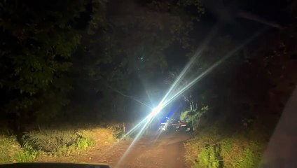 Giallo nel Messinese, tre uomini uccisi a colpi d'arma da fuoco nei boschi di Montagnareale