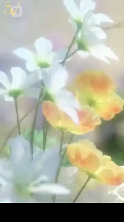 The Secret Between US | Full Movie HD - Drama ShortFilms Hot