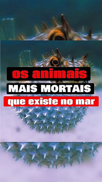 os animais mais mortais do mar