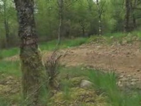 Best of Avalanche trophy - Kielder (UK)