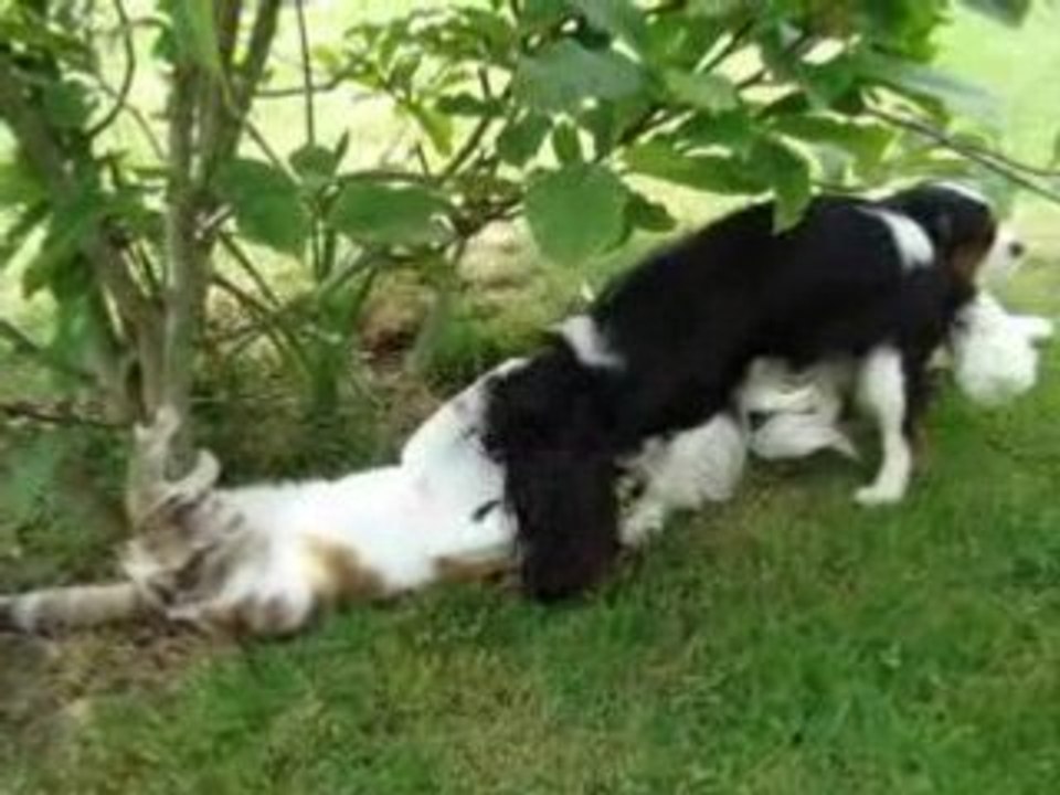 Clélia & Cannelle: jeux