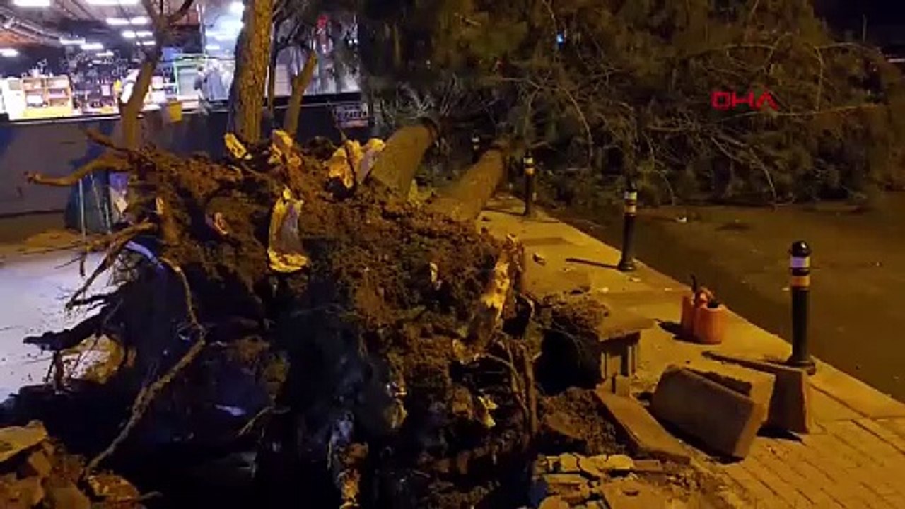 Fırtına nedeniyle Beylikdüzü'nde 15 katlı binanın dış cephesi uçtu; Ataşehir'de ağaç devrildi