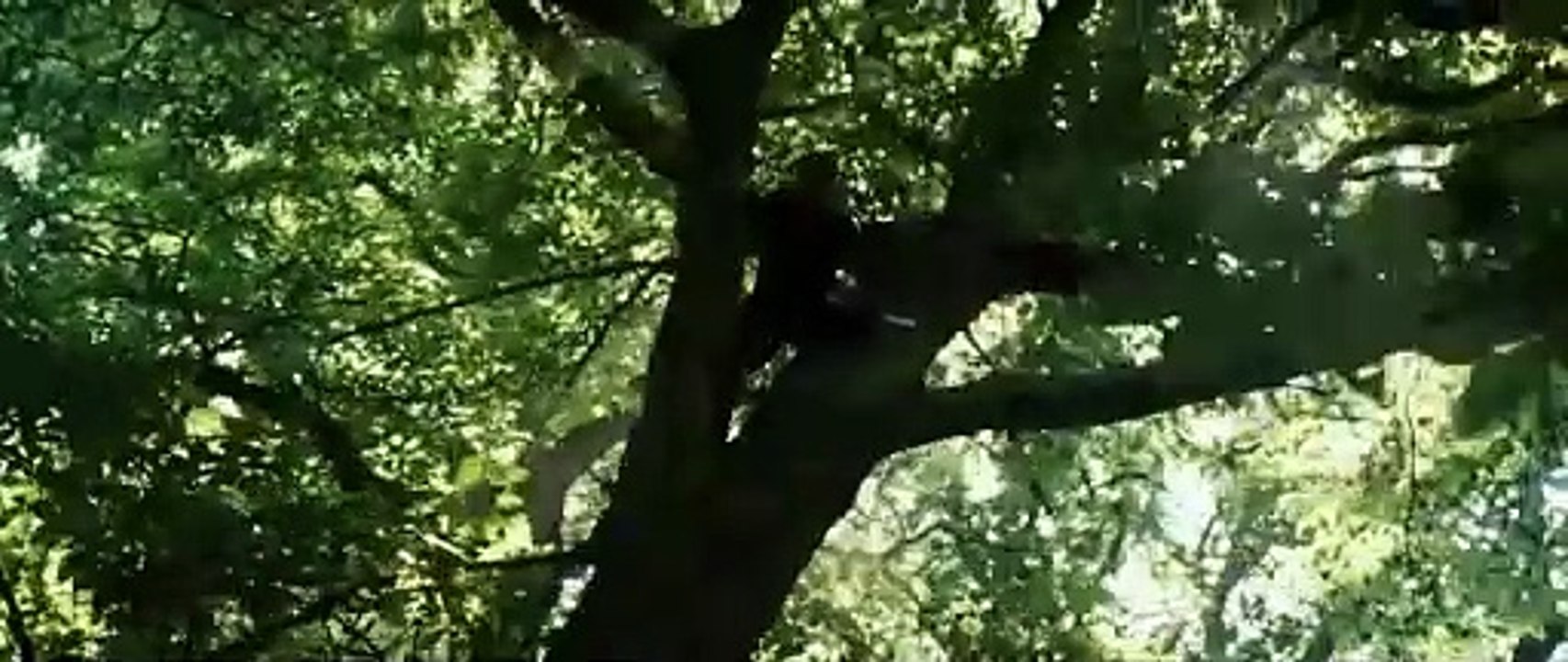 Robin Hood - Trailer (Deutsch) HD