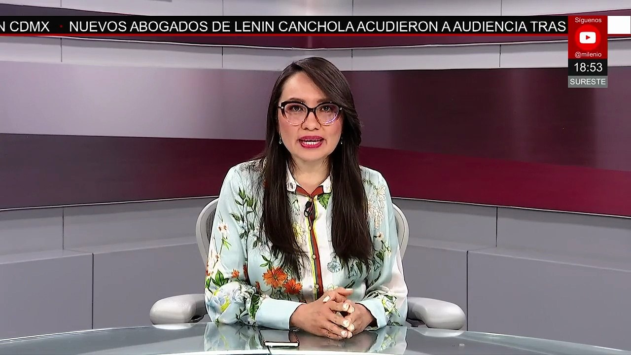 Elefante marino aparece en playa de Los Ayala, Nayarit | Milenio Hábitat