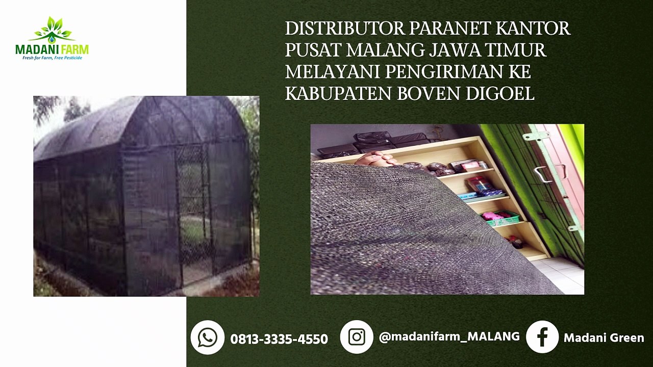 PENAWARAN LUAR BIASA !!! Distributor Perlengkapan Greenhouse Madani Farm di Malang Pengiriman ke Kab Boven Digoel 0813–3335–4550