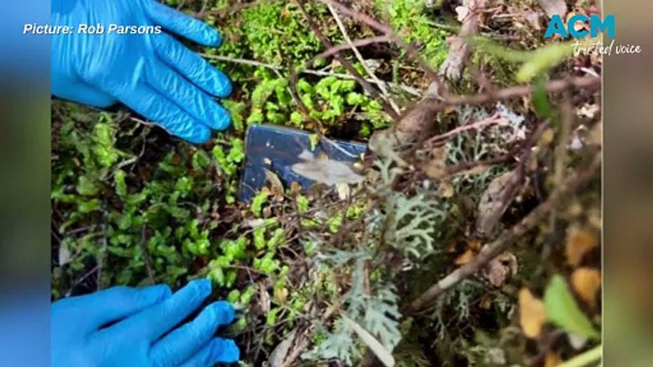 Remain found in search for missing backpacker