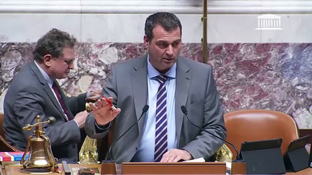 2ème séance : Mettre fin au devoir conjugal (suite) ; Réparer les préjudices causés par la transplantation de mineurs de La Réunion en France hexagonale de 1962 à 1984 - Mercredi 28 janvier 2026