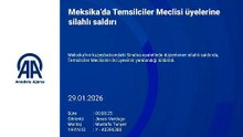 Meksika’da Temsilciler Meclisi üyelerine silahlı saldırı