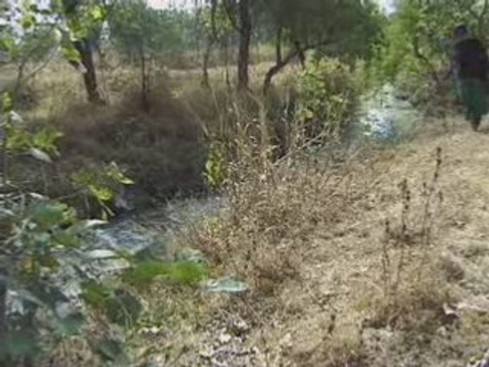 Les enfants ont quelque chose à dire - Plan Inde