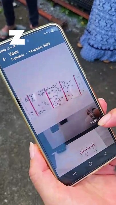 Les habitants de la Marine à Sainte-Suzanne envahis par les mouches