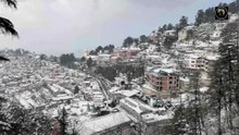 Shimla City In Winter Blend