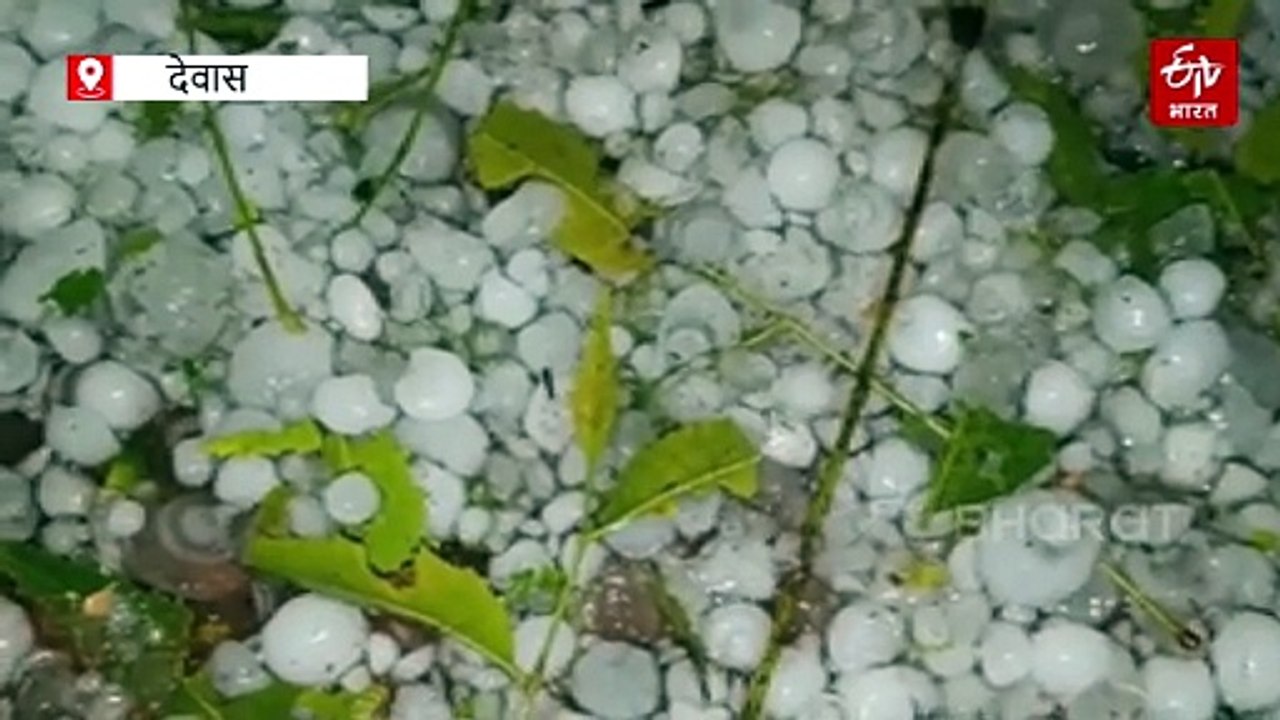 मध्य प्रदेश में लाखों किसानों को मिलेगा फसल मुआ...