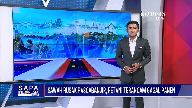 Cerita Petani Usai 2.000 Hektare Sawah di Bireuen Rusak Akibat Banjir Bandang | SAPA SIANG