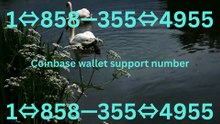 {{CoMpLeTe JaM}} of Official CoinBase CuStomer SuPpOrT™️Phone Numbers