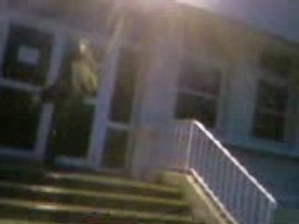 Jimmy (pose caca le retour)