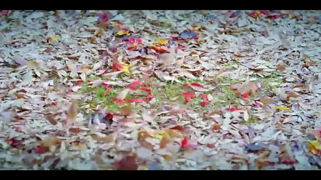 12. TITLE: Brain Works [2023]/Korean Series Action Comedy Crime Drama Tagalog Dubbed HD