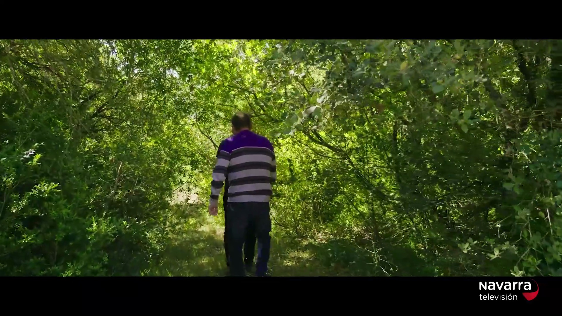 Capítulo 16: Rincones - Bosques en silencio