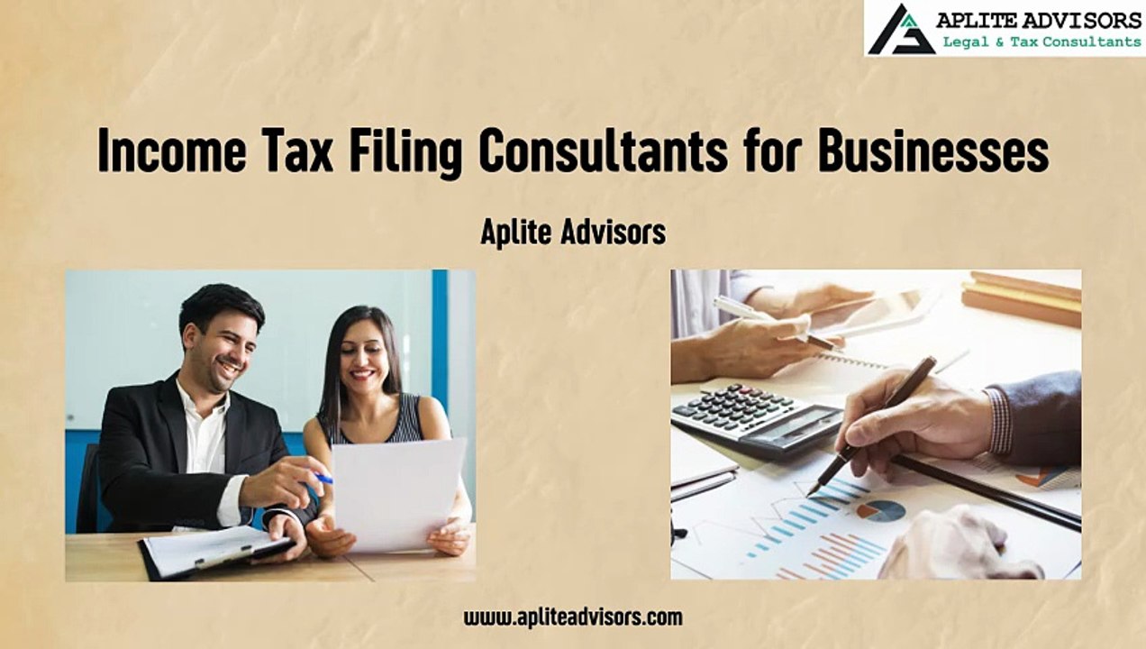 Income Tax Filing Consultants for Businesses – Aplite Advisors