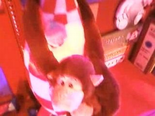 Peluches