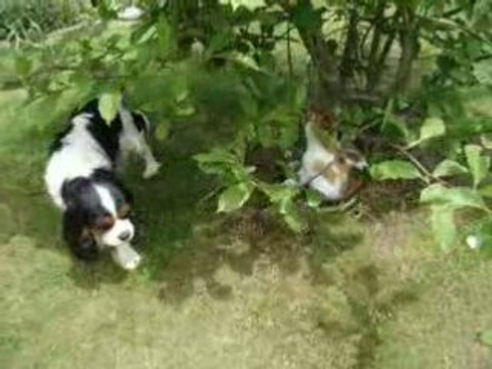 Clélia Cannelle 2 : jeux