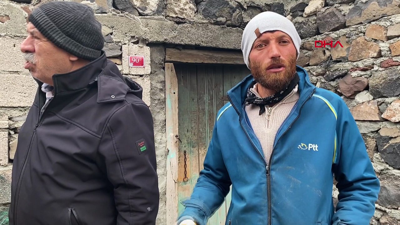 Gece yarısı köye inen kurt, ağıldaki 200 koyunu 2,5 saatte öldürdü!