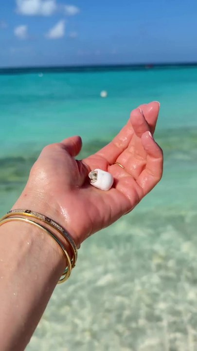 Tiny Hermit Crab Emerging on a Crystal Maldives Shore