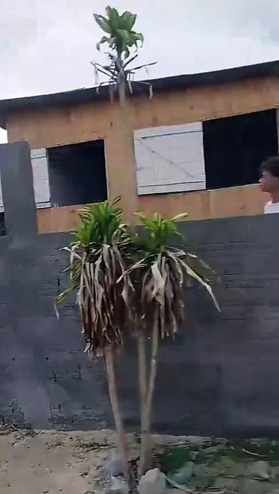 Demolição de comunidade mobiliza moradores de bairro tradicional em Florianópolis: "Nossas vidas"