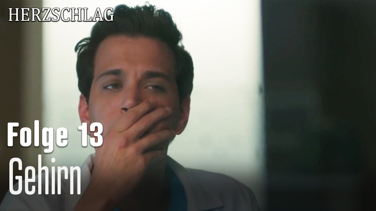 Gehirn-Herzschlag Folge 13