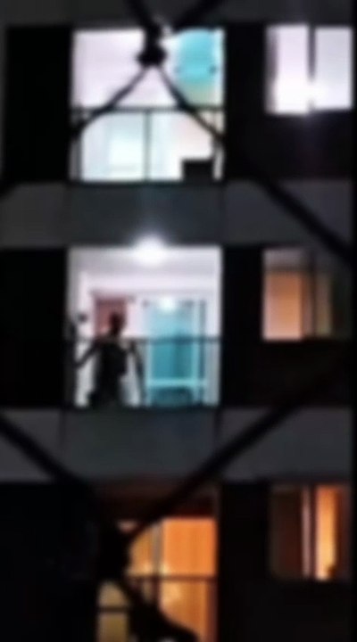 Vídeo flagra agressões contra cachorro em Joinville; dono coleciona processos por violência