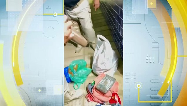 Mulher é Detida com 2,2 kg de Skunk em Ônibus Interestadual na BR-232: Apreensão de Super Maconha Marca Rota do Tráfico do Pará ao Recife