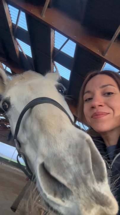 L’adolescence c’est vraiment pas le moment le plus sympa quand on a un chien, mais il ne faut pas lâcher 🥲.