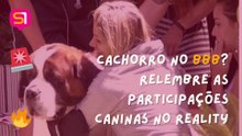 PARTICIPAÇÕES CANINAS NO BBB