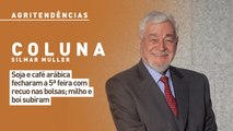 Soja e café arábica fecharam a 5ª feira com recuo nas bolsas; milho e boi subiram