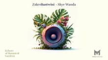 Zakes Bantwini - Phezulu (Visualizer)