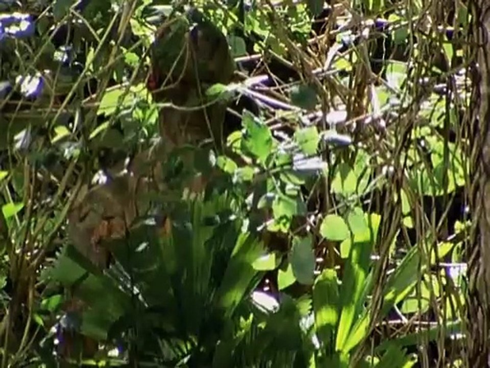 The Lost World S.01 Ep.01 - The Journey Begins