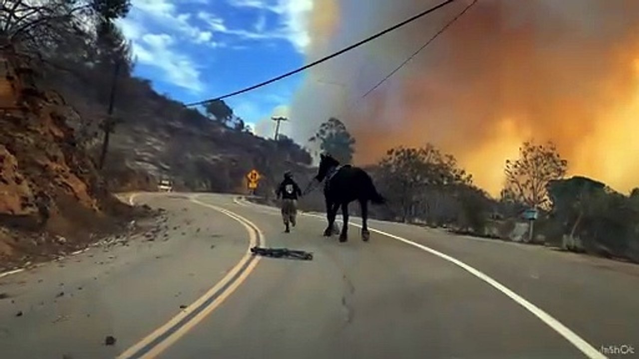 LA Firestorm on REELZ | Exclusive Sneak Peek