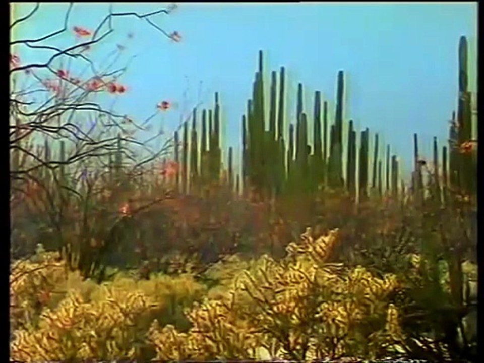 BBC The Wild West Ep 2 Desert Shores of Cortez (Andrew Sachs) (1994)