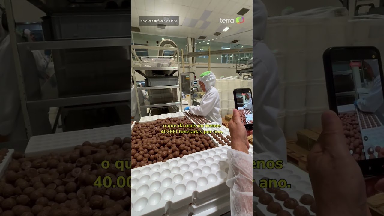 Como é por dentro de uma fábrica de chocolate? #shorts