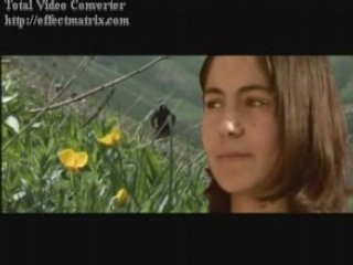 Koma evina botan soryaz