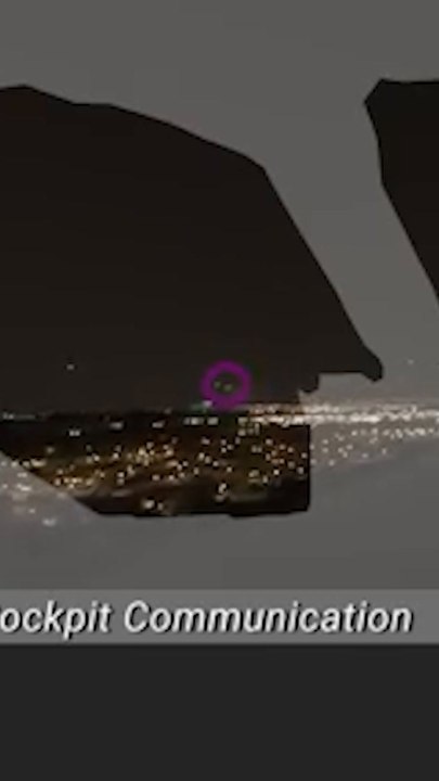 Chilling animation reveals what pilots saw moments before deadly mid-air Reagan crash