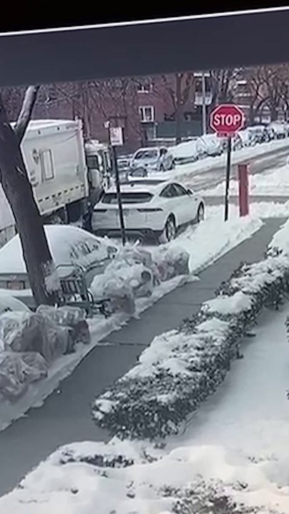 City snow plow crashes into parked cars and flees